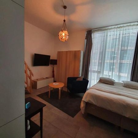 Modern Studio With Mezzanine Le Mont-Sur-Lausanne Luaran gambar