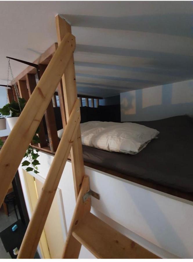 Modern Studio With Mezzanine Le Mont-Sur-Lausanne Luaran gambar
