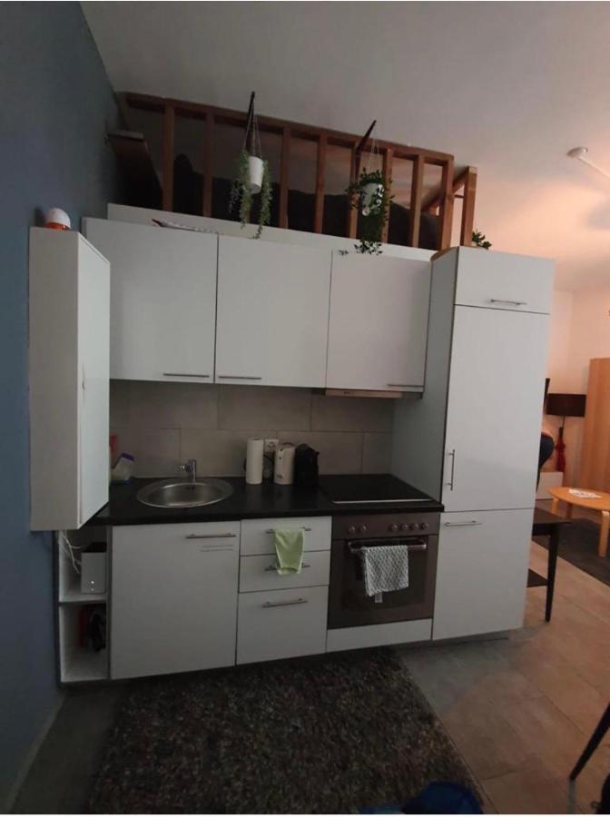 Modern Studio With Mezzanine Le Mont-Sur-Lausanne Luaran gambar
