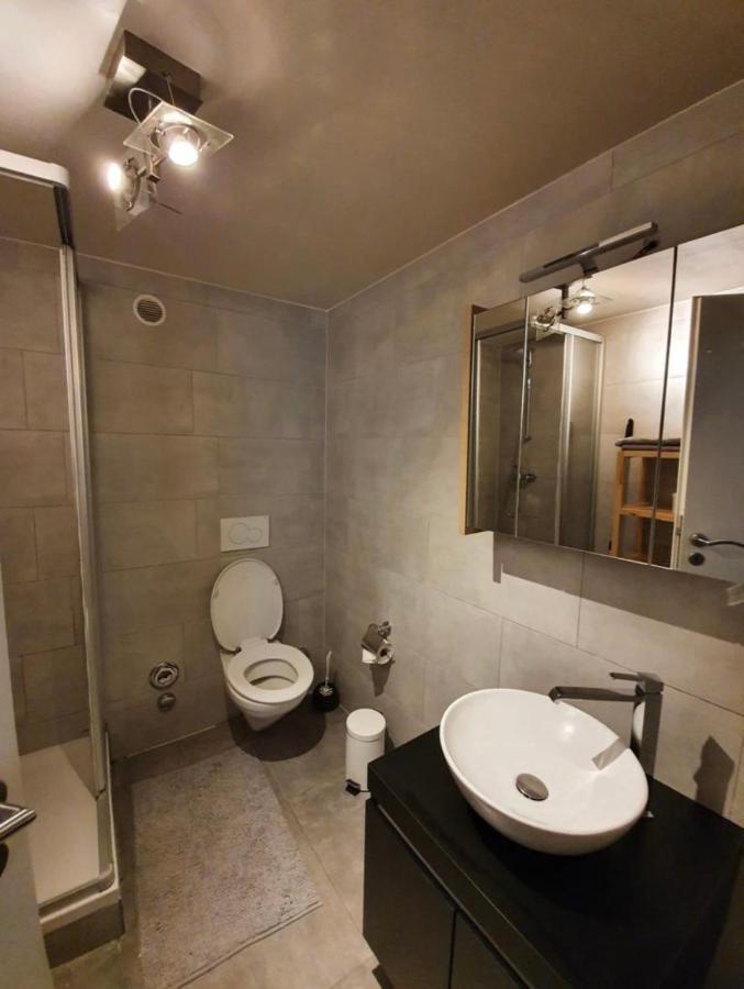 Modern Studio With Mezzanine Le Mont-Sur-Lausanne Luaran gambar