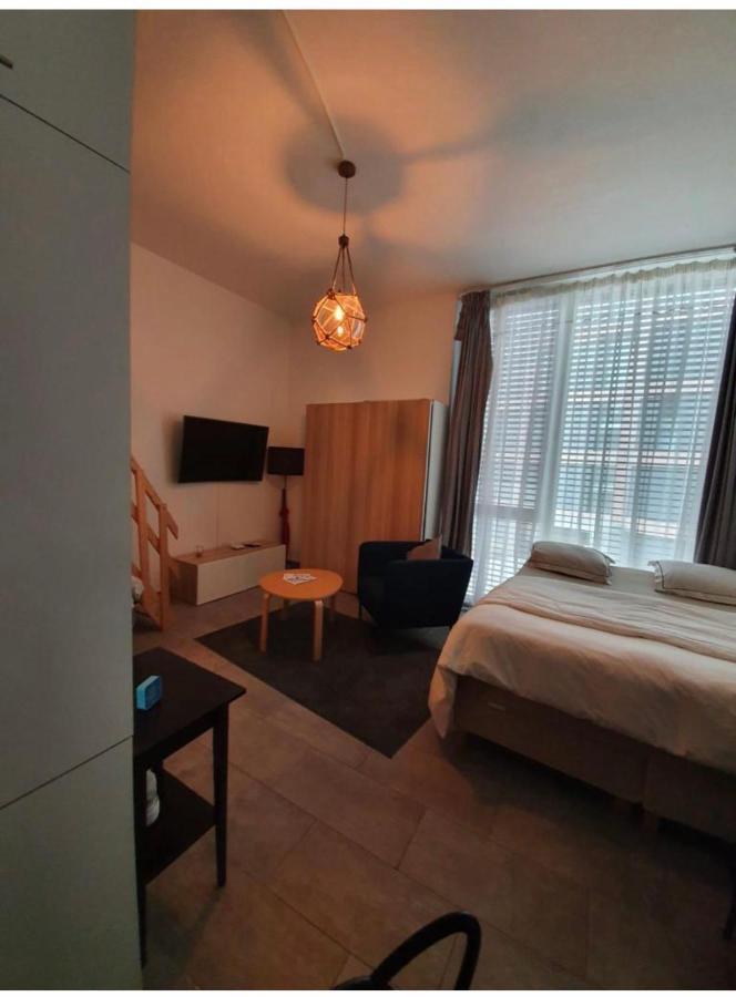 Modern Studio With Mezzanine Le Mont-Sur-Lausanne Luaran gambar